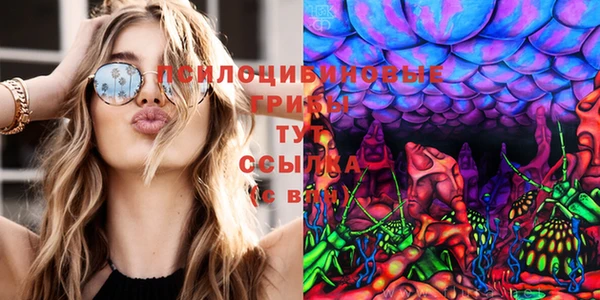 не бодяженный Иннополис
